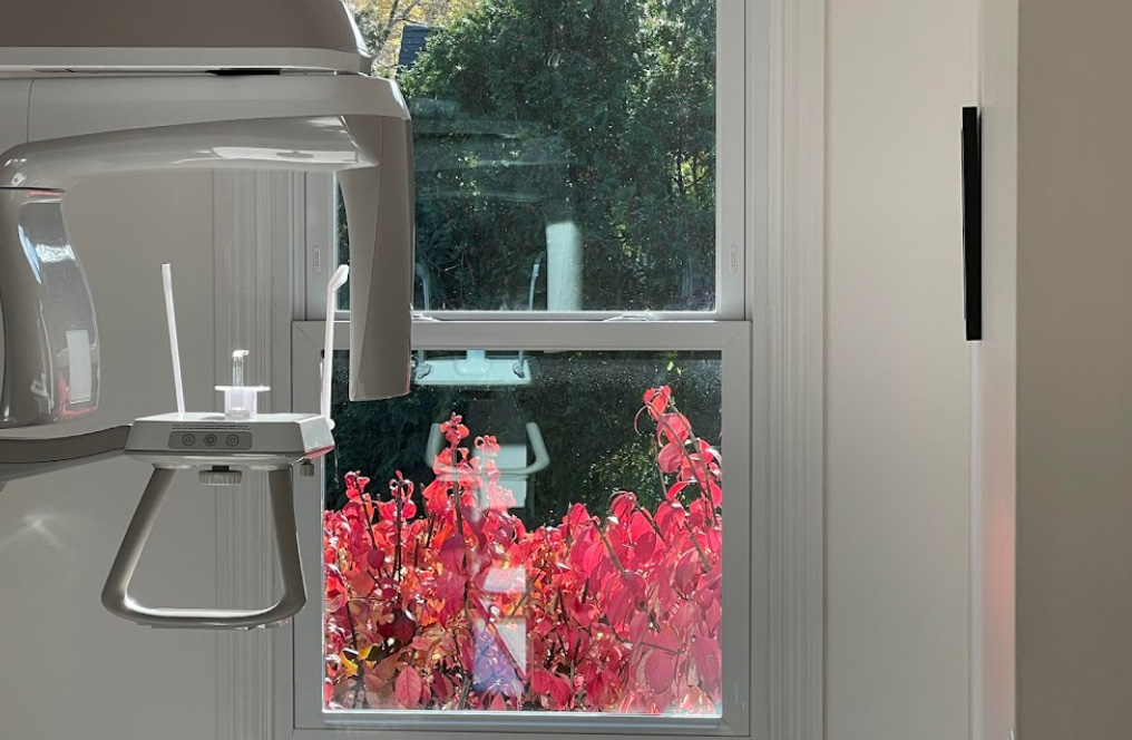 Quinsigamond Dental | Pediatric Dentistry, Extractions and Teeth Whitening