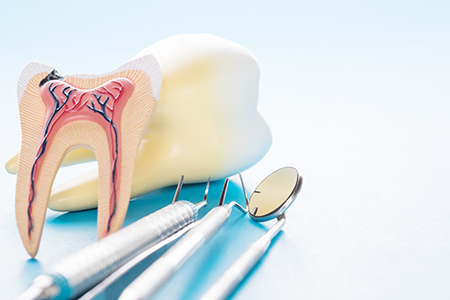 Quinsigamond Dental